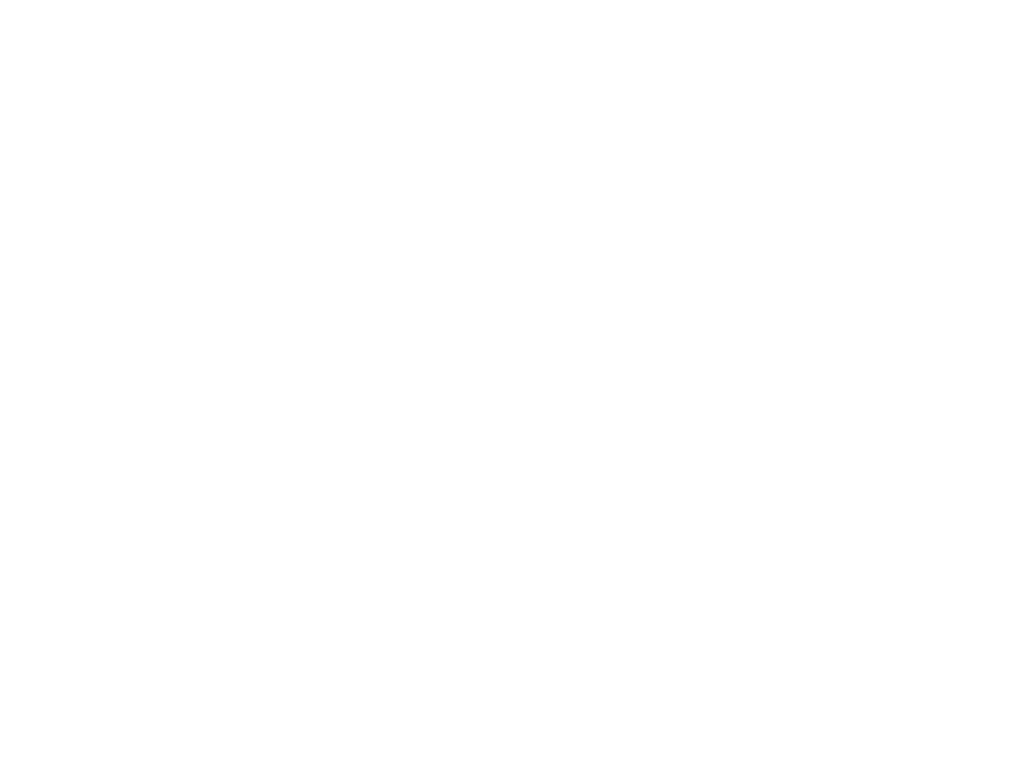 Primeart Studio Company Logo